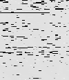 MTVZA-17.png
